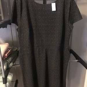 LOFT Flare pocket dress